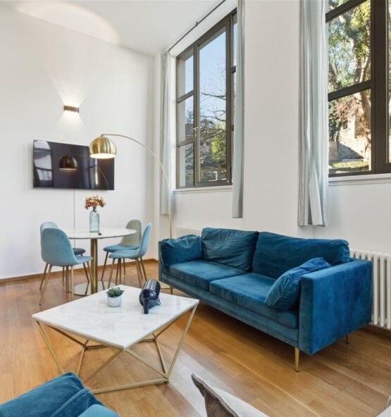 Blue velvet sofa beside a window in a bright living room.