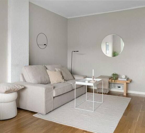 Minimal ivory area rug beneath a neutral sofa in a living room.