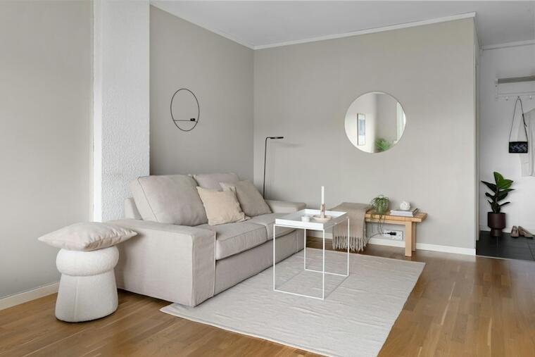 Minimal ivory area rug beneath a neutral sofa in a living room.
